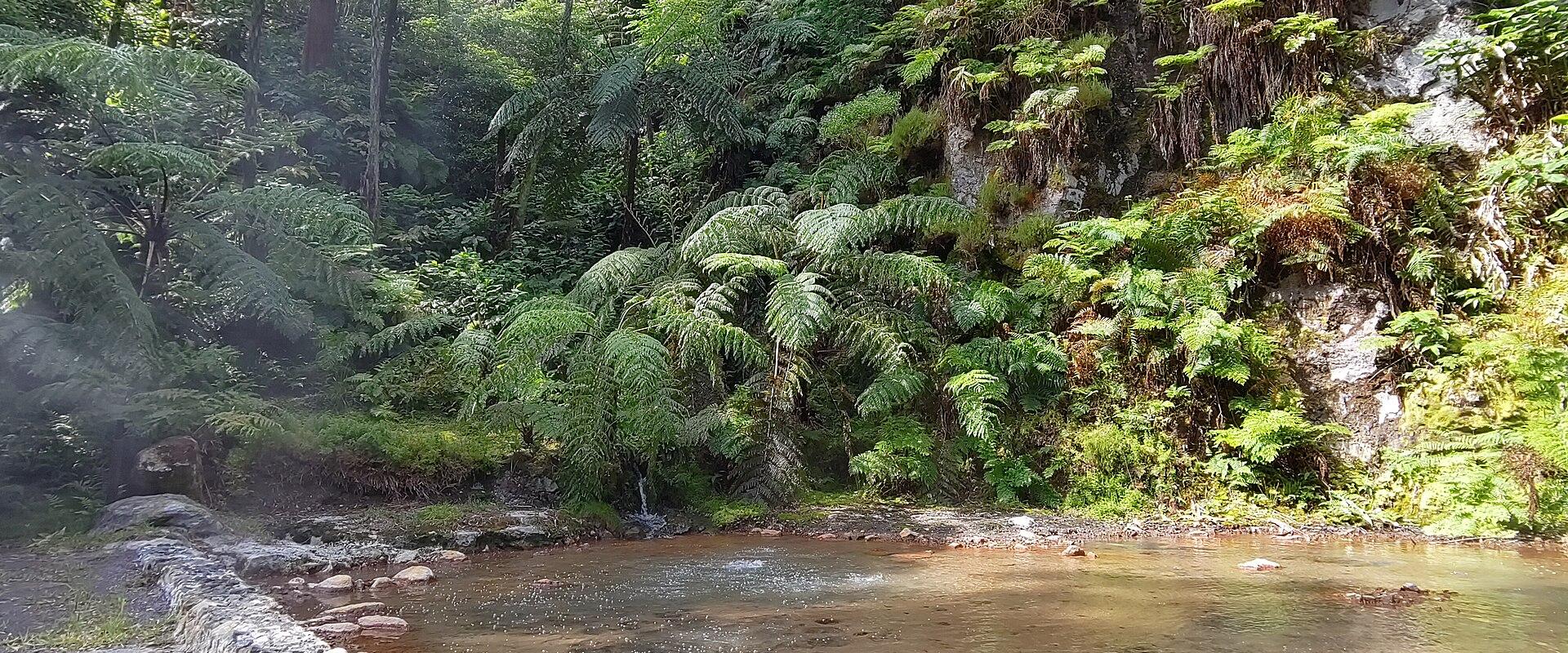 Thermal Water Pools (Caldeira Natural Monument)