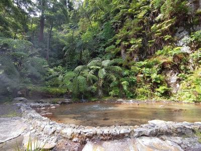 The image shows a waterfall cascading over mossy, mineral-stained rocks into a pool, surrounded by dense, lush green vegetation.