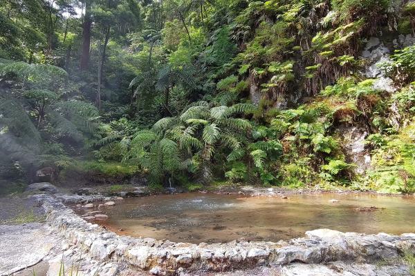 Thermal Water Pools (Caldeira Natural Monument)