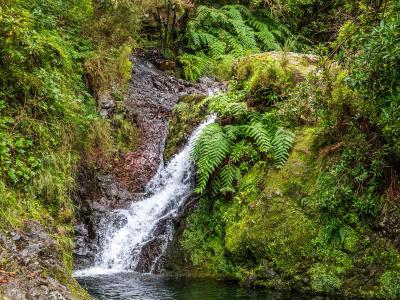 Waterfall in the Ribeiro Frio laurel forest, Madeira