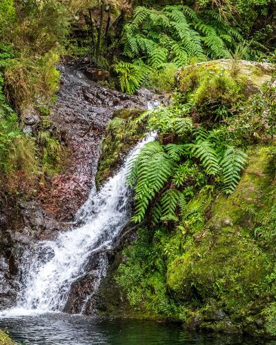 Waterfall in the Ribeiro Frio laurel forest, Madeira