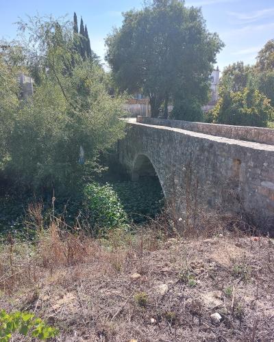 A stone arch bridge spanning a river channel filled with dense aquatic vegetation, viewed from the riverbank with trees and a building visible in the background.