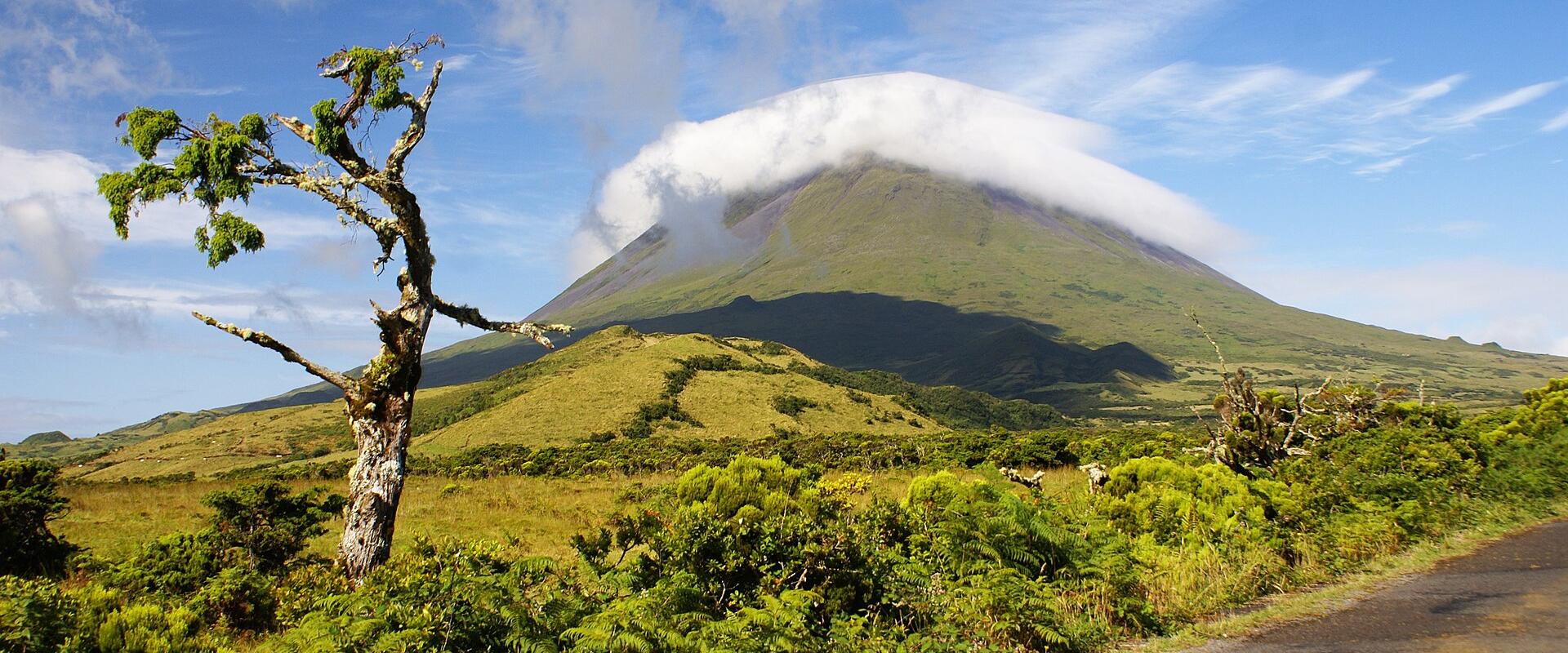 Pico