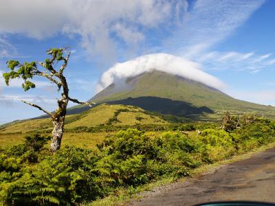 Pico