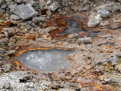 Bubbling hot springs at the Caldeiras das Furnas, São Miguel