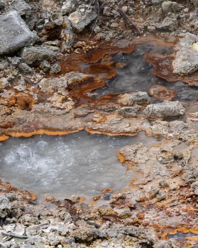 Bubbling hot springs at the Caldeiras das Furnas, São Miguel