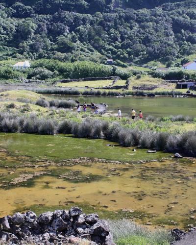 A view of a coastal lagoon with green and brown water, surrounded by grassy vegetation, stone walls, and a path with people walking, set against a backdrop of a lush green hillside with a few buildings.