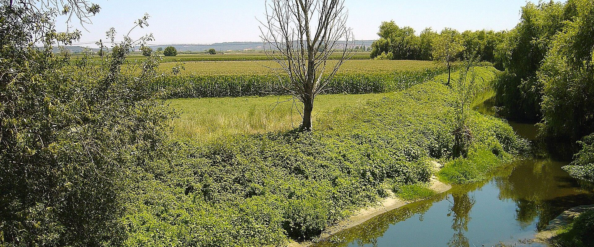 River Almonda