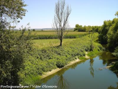 A calm river flowing through a lush green landscape with agricultural fields in the background and trees lining the banks under a clear blue sky.