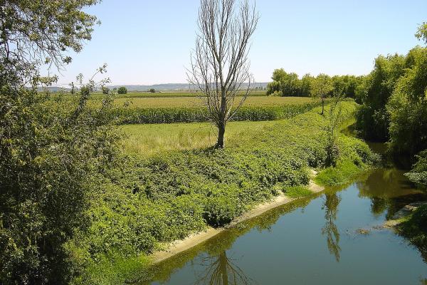 River Almonda