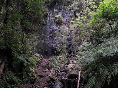 A waterfall in the fern-filled gorge at the end of the Levada do Rei, Madeira