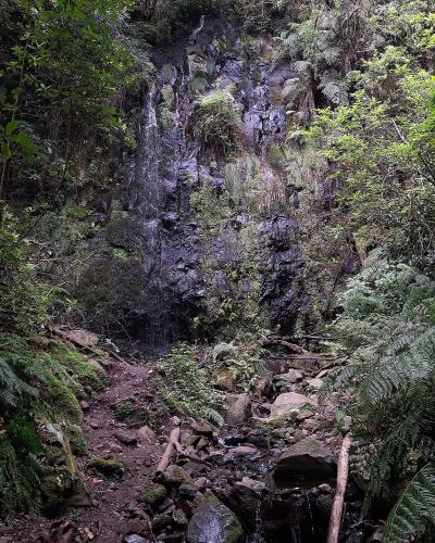 A waterfall in the fern-filled gorge at the end of the Levada do Rei, Madeira