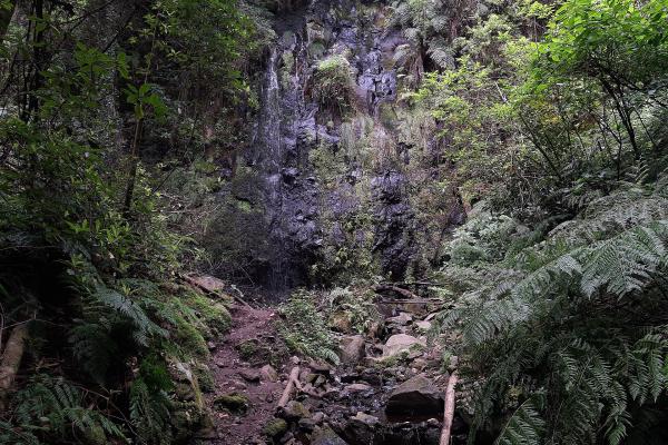 Waterfall At Levenda Do Rei