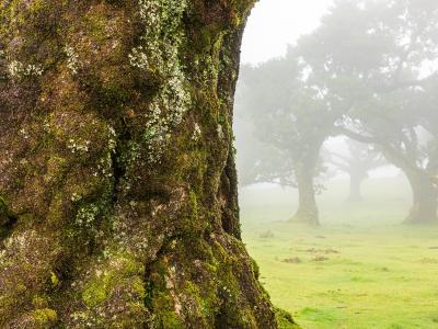 Hiking Madeira