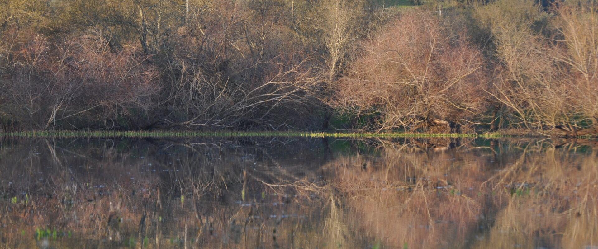 Paul De Boquibo Natural Reserve (Cortical De Boquilha)