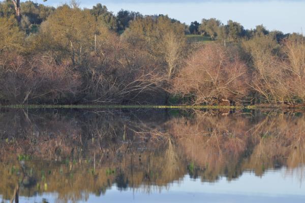 Paul De Boquibo Natural Reserve (Cortical De Boquilha)