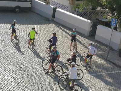 Porto’s Autumn Wine Harvest Experiences