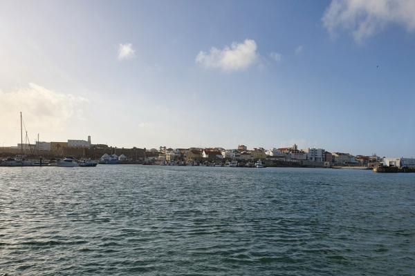 Working Fishing Port / Fish Auction