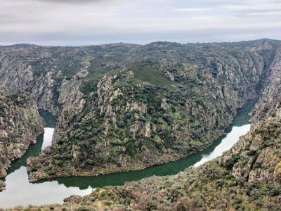 A panoramic view of a wide river winding through a deep, rugged gorge with steep rocky cliffs and sparse vegetation under an overcast sky.