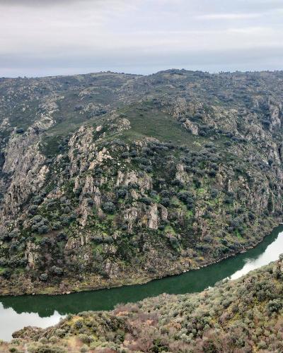 A panoramic view of a wide river winding through a deep, rugged gorge with steep rocky cliffs and sparse vegetation under an overcast sky.
