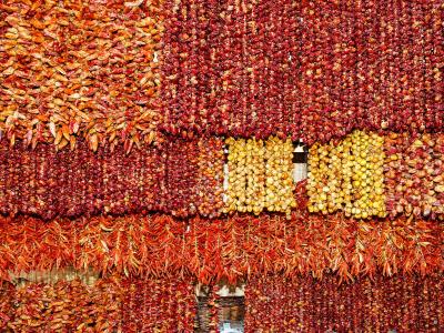 A close-up view of numerous strings of dried red and yellow chili peppers hanging in dense rows, likely within a market stall.