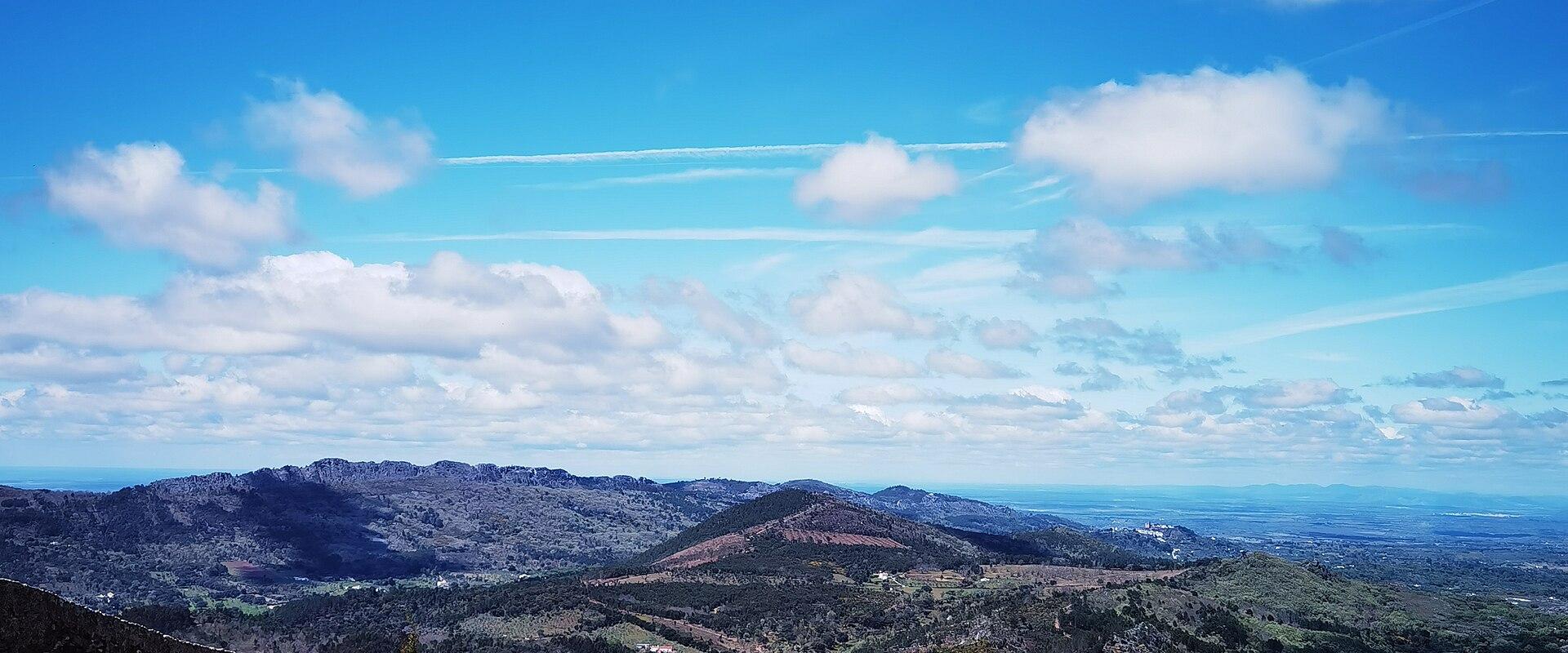 Bonelli Eagle Observation
