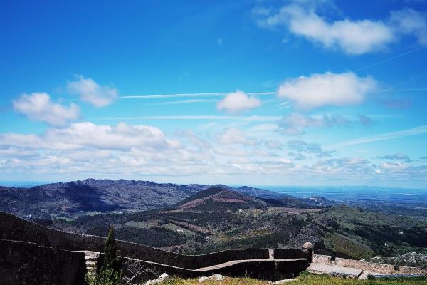 Bonelli Eagle Observation