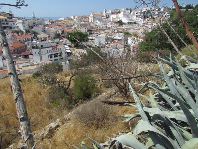 A high-angle view of a dense coastal town with white buildings and terracotta roofs, featuring a prominent church with twin bell towers overlooking a square and the sea in the distance.
