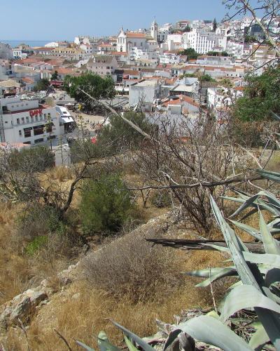 A high-angle view of a dense coastal town with white buildings and terracotta roofs, featuring a prominent church with twin bell towers overlooking a square and the sea in the distance.