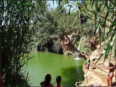 A natural swimming pool with green water, surrounded by reeds and trees, featuring a small waterfall cascading from a sandy cliff where people are swimming and relaxing.