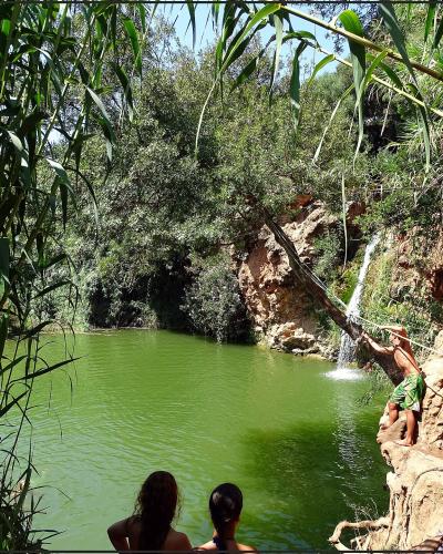 A natural swimming pool with green water, surrounded by reeds and trees, featuring a small waterfall cascading from a sandy cliff where people are swimming and relaxing.