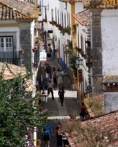 A high-angle view looking down a narrow, cobblestone pedestrian street lined with whitewashed buildings featuring terracotta tile roofs, flower boxes, and stone accents, with several tourists walking along the path.