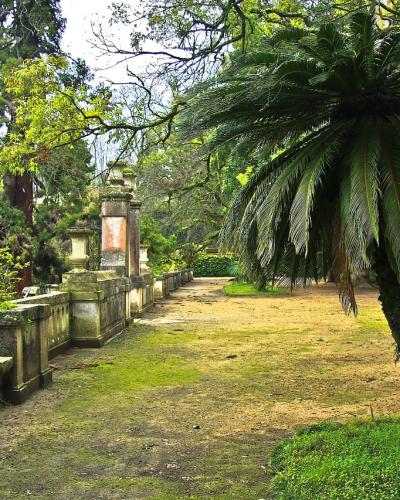 Jardim Botânico de Coimbra - Portugal (3206245958)