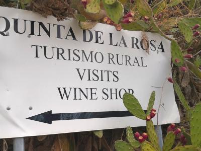A white rectangular sign with black text reading "QUINTA DE LA ROSA", "TURISMO RURAL", "VISITS", and "WINE SHOP" with a directional arrow, surrounded by prickly pear cacti.