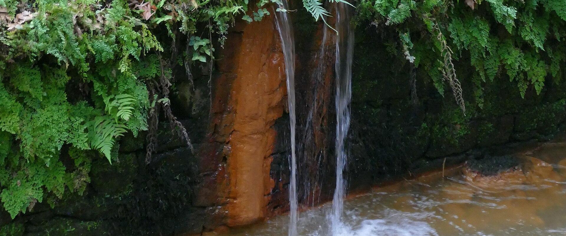 Terra Nostra Park's Hot Springs, Furnas