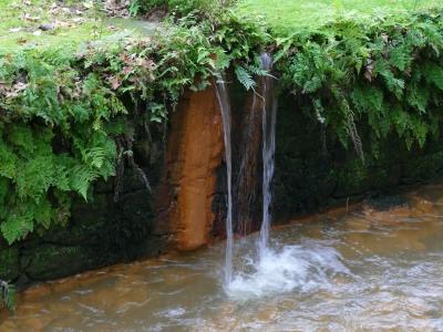 A small waterfall cascading from a mossy, fern-covered bank into a pool of reddish-brown, mineral-rich water within a lush garden setting.