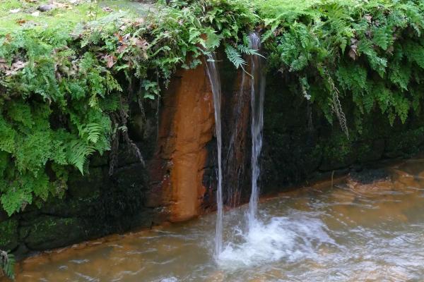 Terra Nostra Park's Hot Springs, Furnas