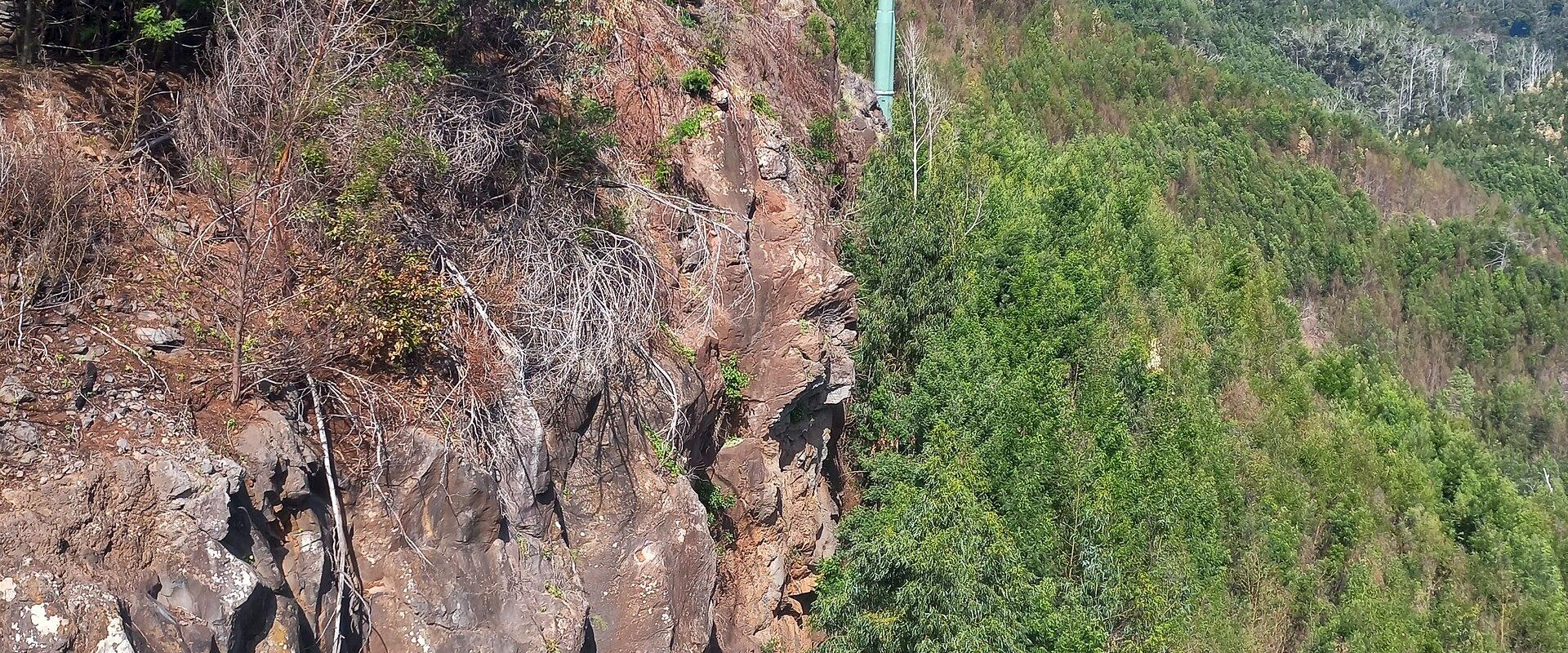 Madeira’s Garden Route