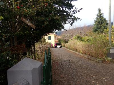 A cobblestone driveway leading up to a yellow house, with wooden signs on a tree to the left reading "Cuidado com o cão" and "Prazeres House".