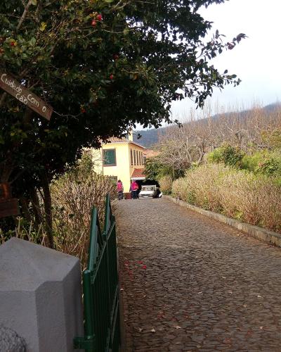 A cobblestone driveway leading up to a yellow house, with wooden signs on a tree to the left reading "Cuidado com o cão" and "Prazeres House".