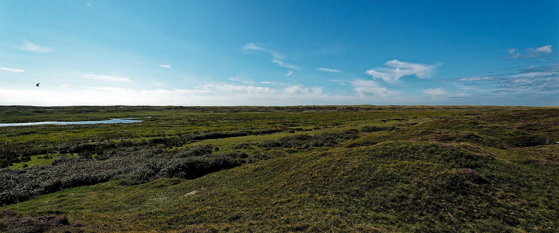 Texel - Westerduinen - 360° Panorama of Nature Reserve De Bollekamer - National Park Texel Dunes 11