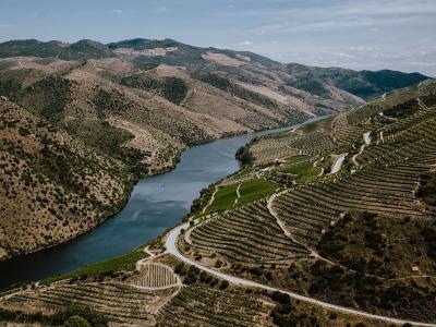 The Côa river winding through a deep valley of terraced hillsides