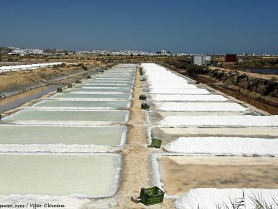 A view of rectangular salt evaporation pans filled with water and harvested salt mounds, with green crates scattered along the earthen dikes and a white town visible on the horizon.