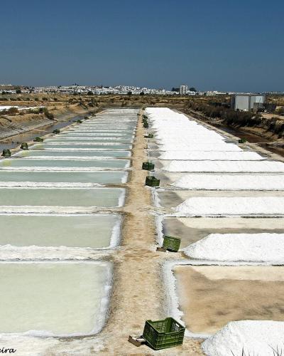 A view of rectangular salt evaporation pans filled with water and harvested salt mounds, with green crates scattered along the earthen dikes and a white town visible on the horizon.